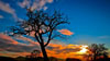 云呼死你